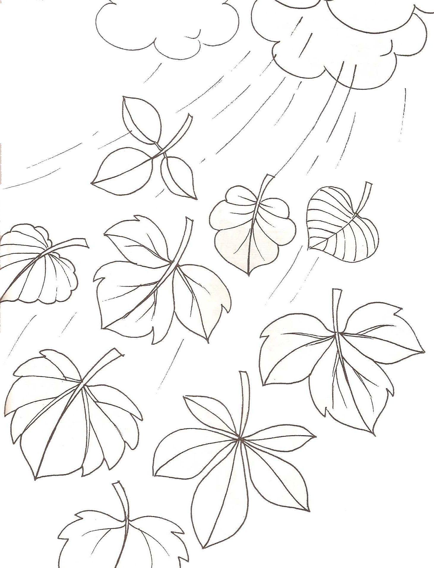 coloriage feuilles dautomne interieur dessin de feuille d automne