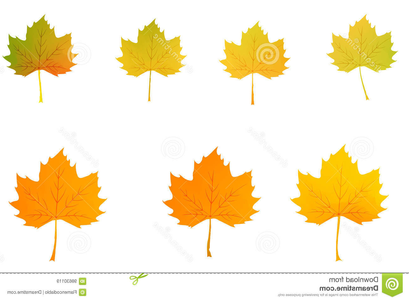 dessin regle colore de vecteur de feuille derable dautomne avec dessin de feuille d automne