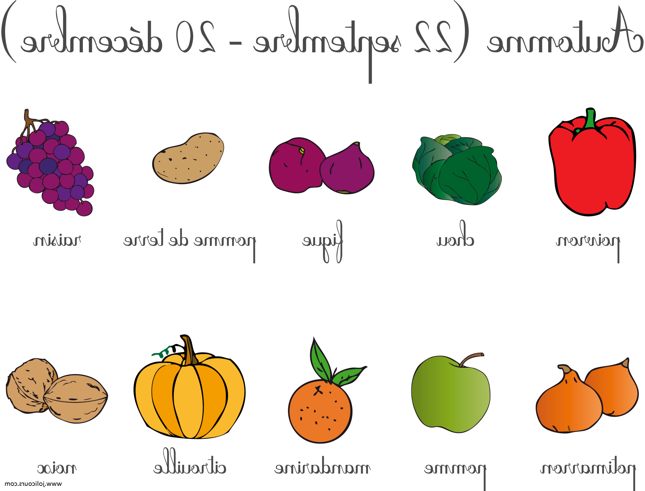 coloriage fruits d automne
