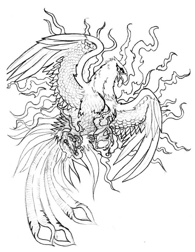 griffin coloring sketch templates