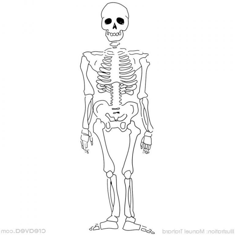 Coloriage Halloween Squelette Luxe Galerie Squelette 10 Personnages – Coloriages à Imprimer