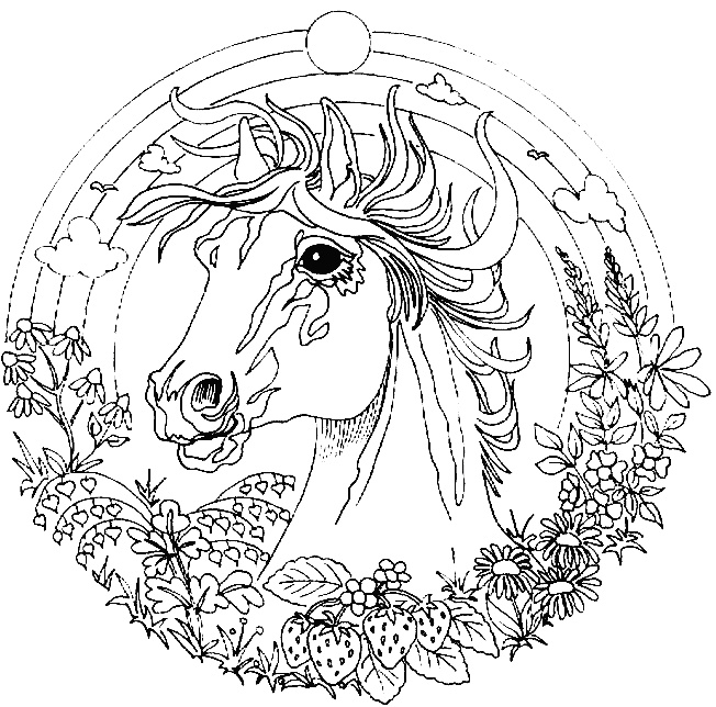 rub coloriage cheval licorne 4
