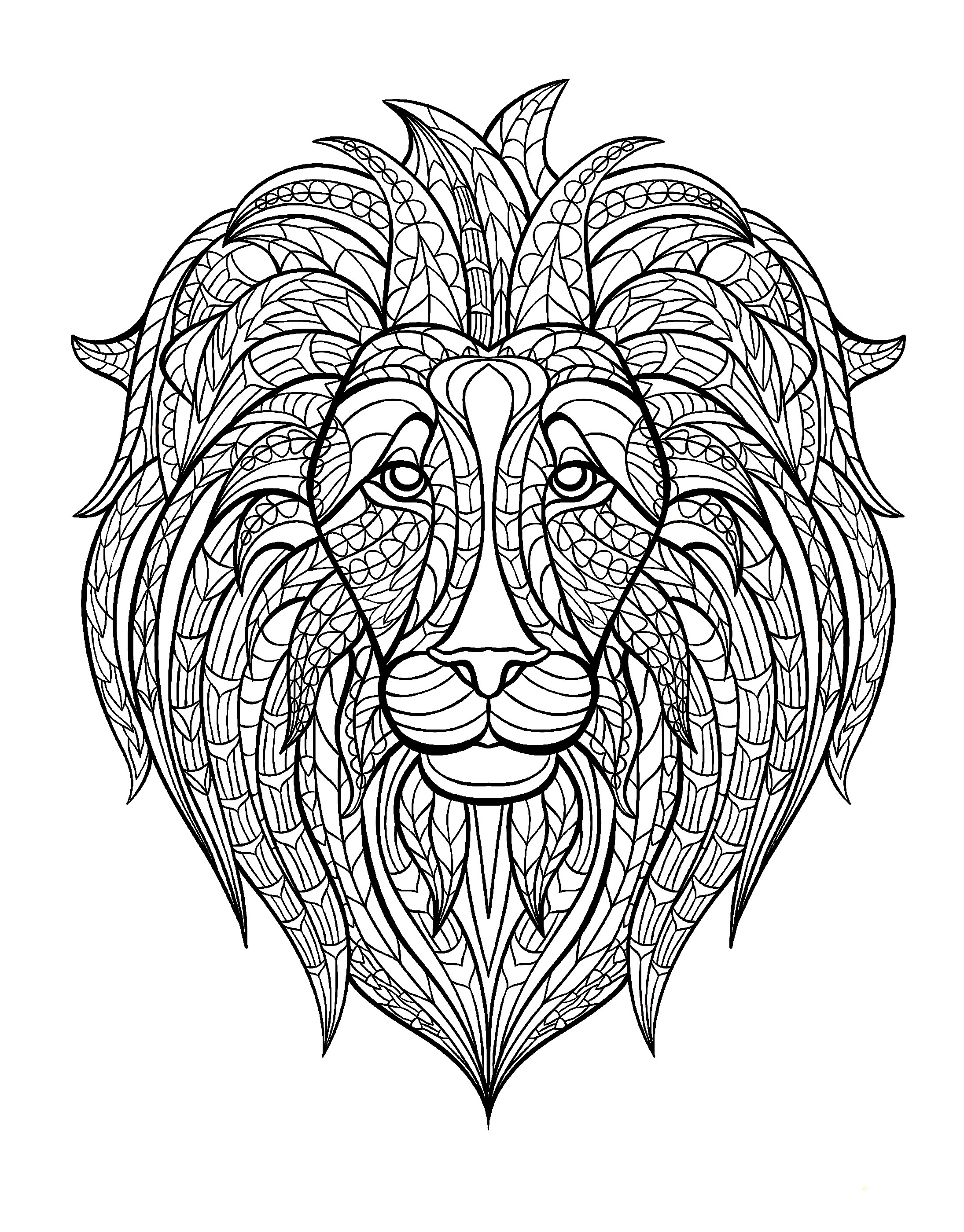 image=afrique coloriage adulte afrique tete lion 1