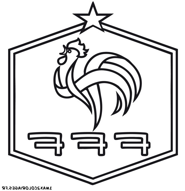 logo de foot 12
