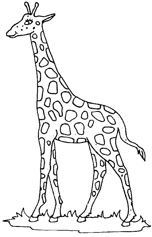 coloriage Girafe 1