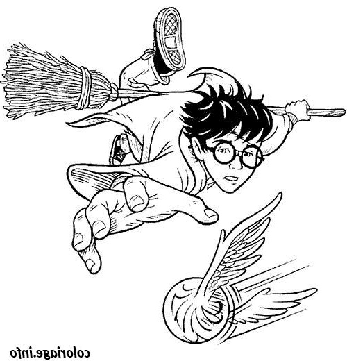 quidditch harry balai magique volant coloriage 1698