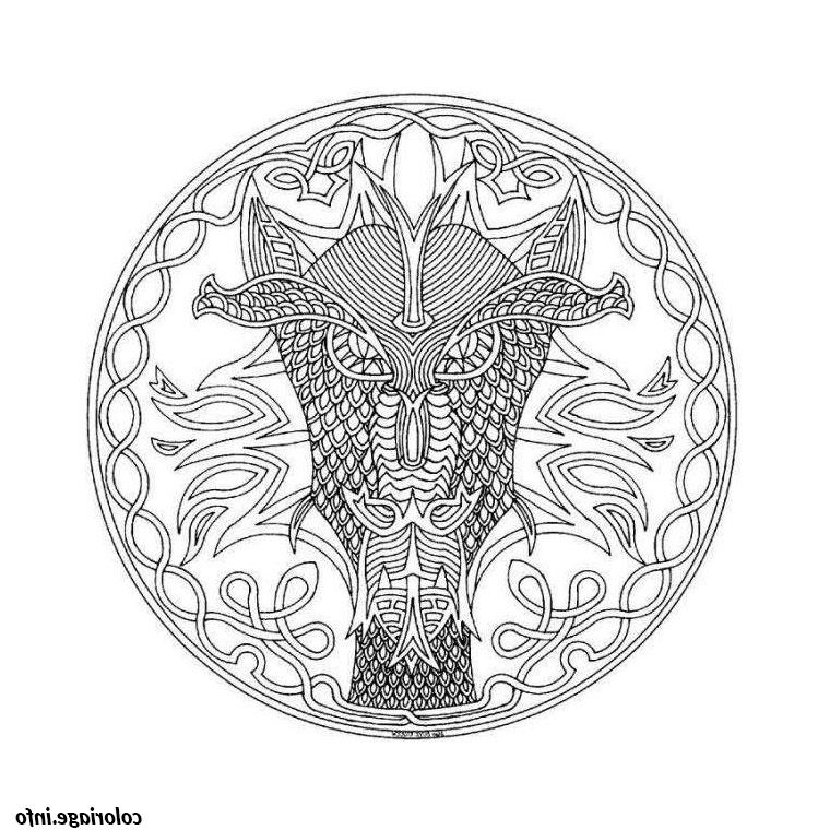 mandala dragon coloriage 2060