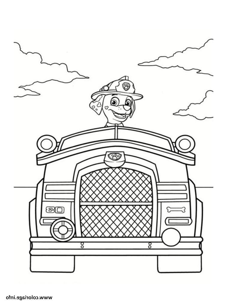 marcus dans son camion de pompier coloriage dessin
