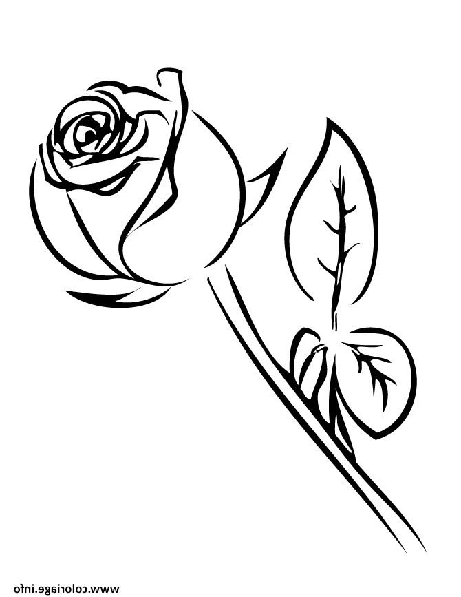 rose simple noir et blanc coloriage dessin
