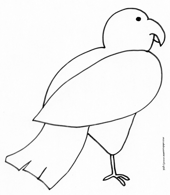oiseau dessin
