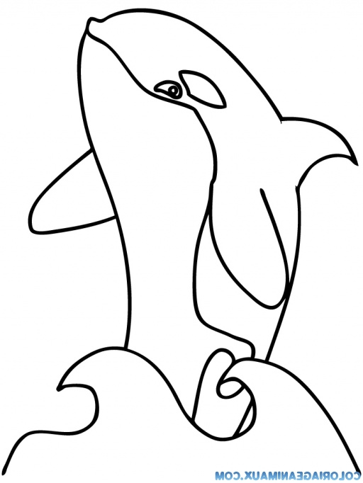 coloriage a dessiner d orque en ligne