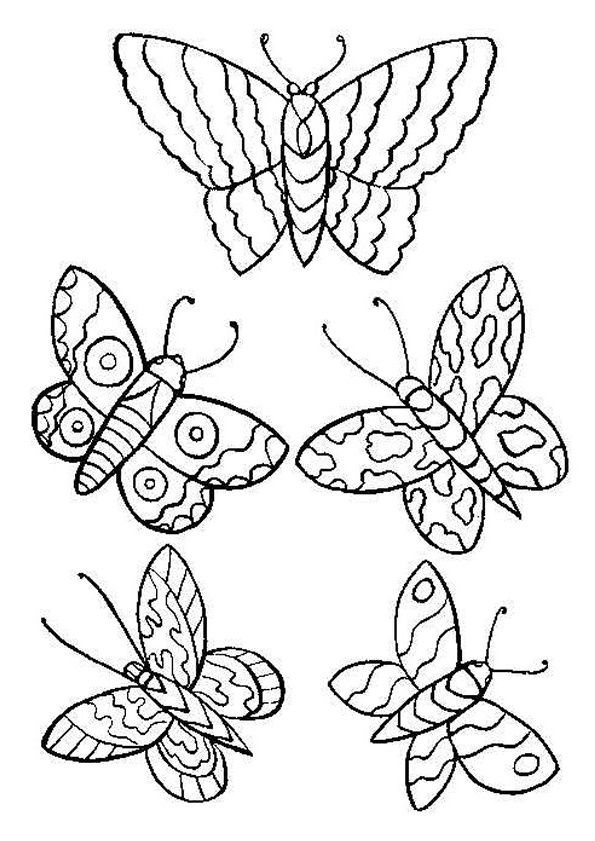 papillons stylises