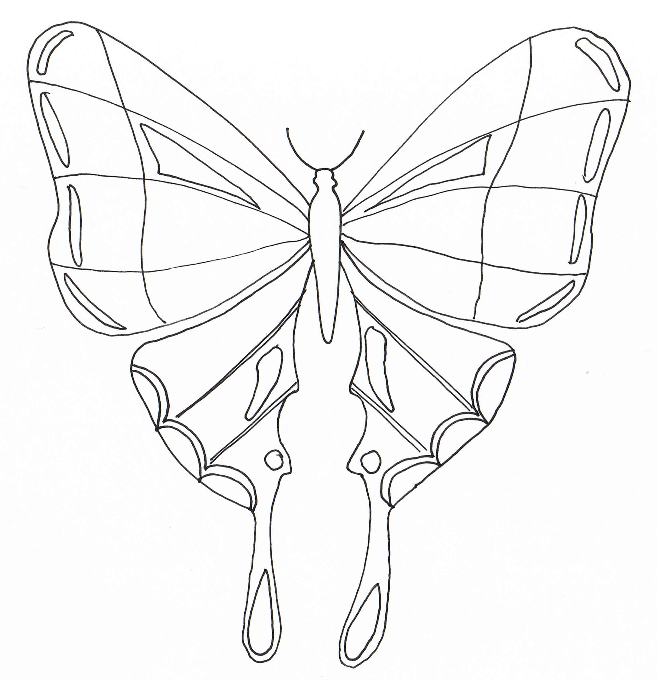 schema papillons