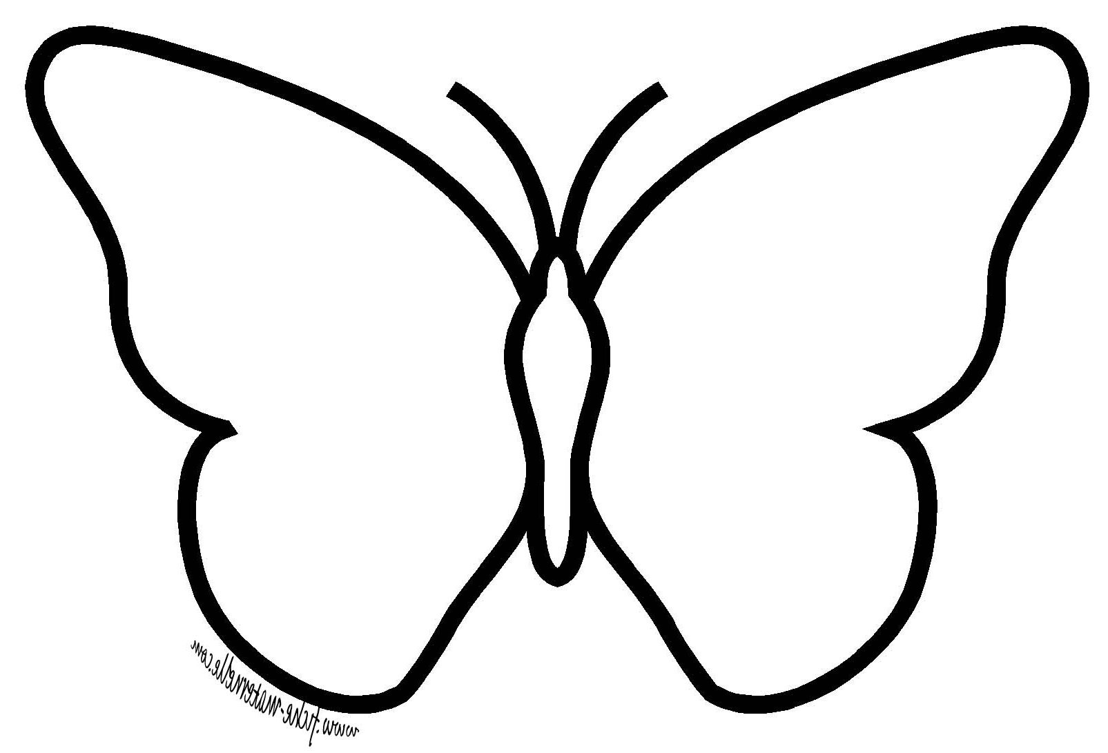 papillon encre