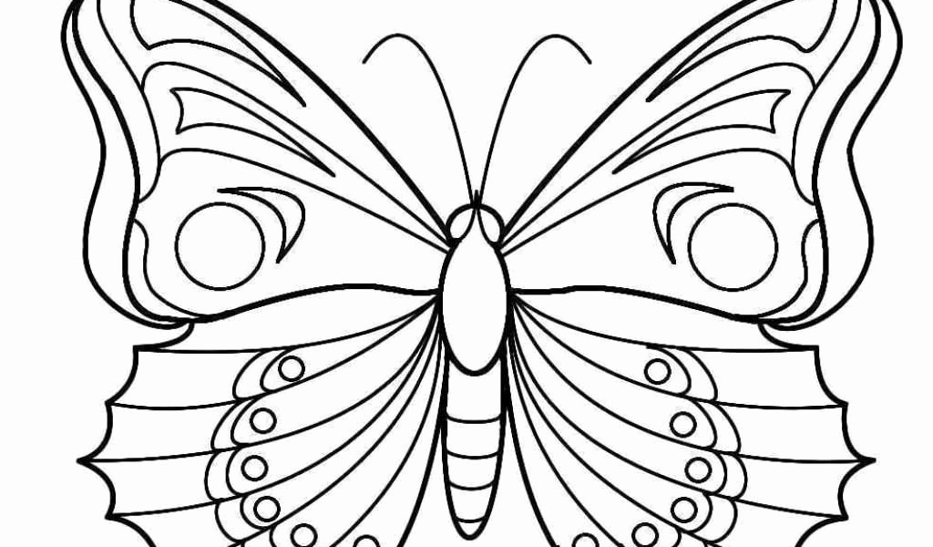 coloriage papillon simple