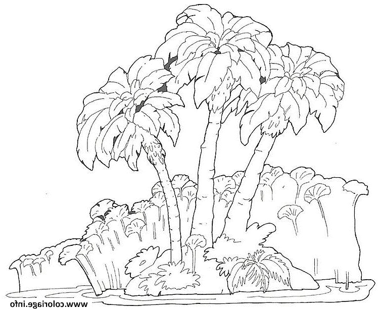 palmiers coloriage dessin