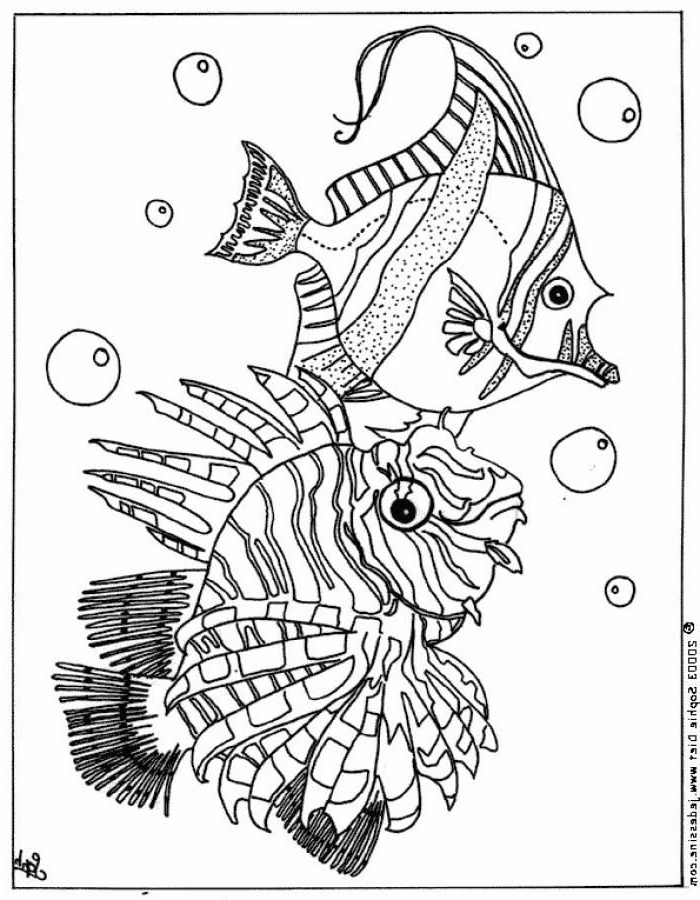 coloriages animaux marins