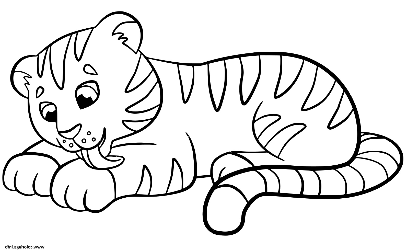 tigre bebe pour enfants coloriage