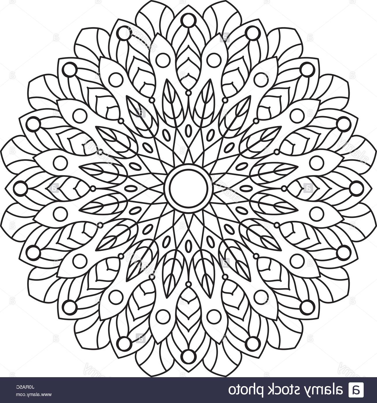 photo image livre de coloriage mandala circle lace ornement motif ornemental rond noir et blanc vecteur de la page adultes