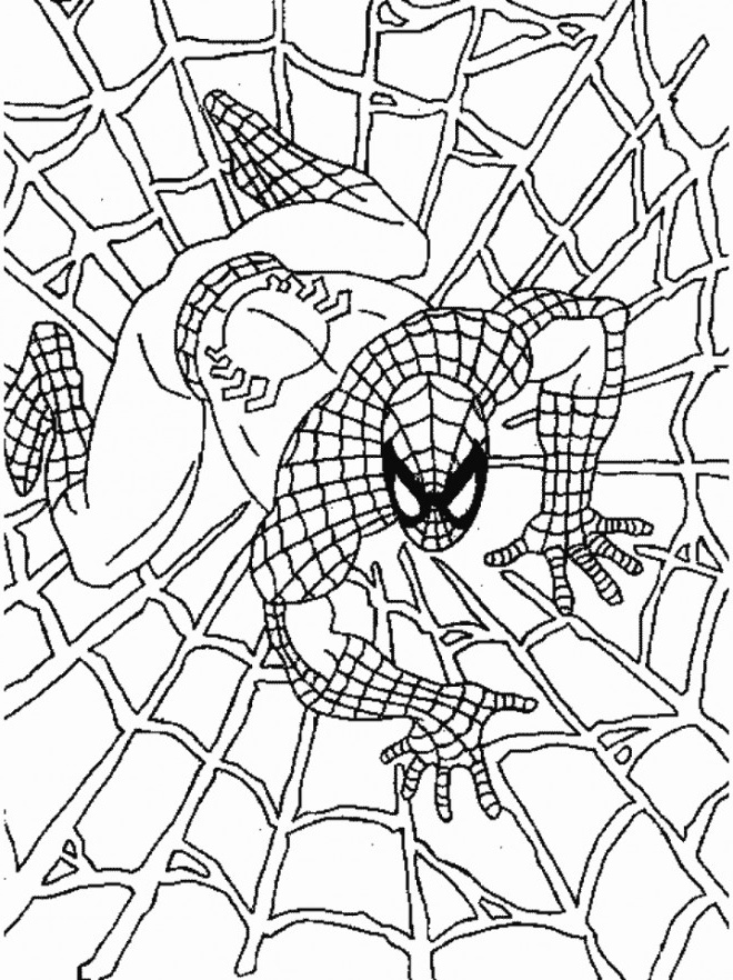 spiderman couleur 9049