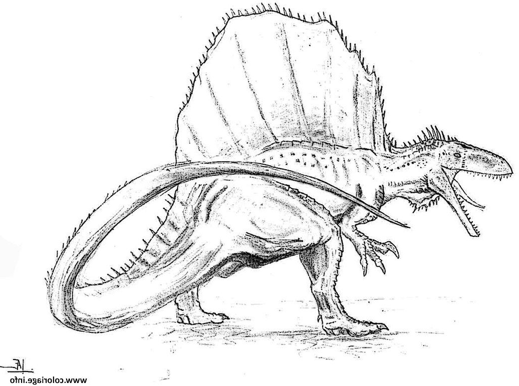 spinosaurus para dinosaure coloriage dessin