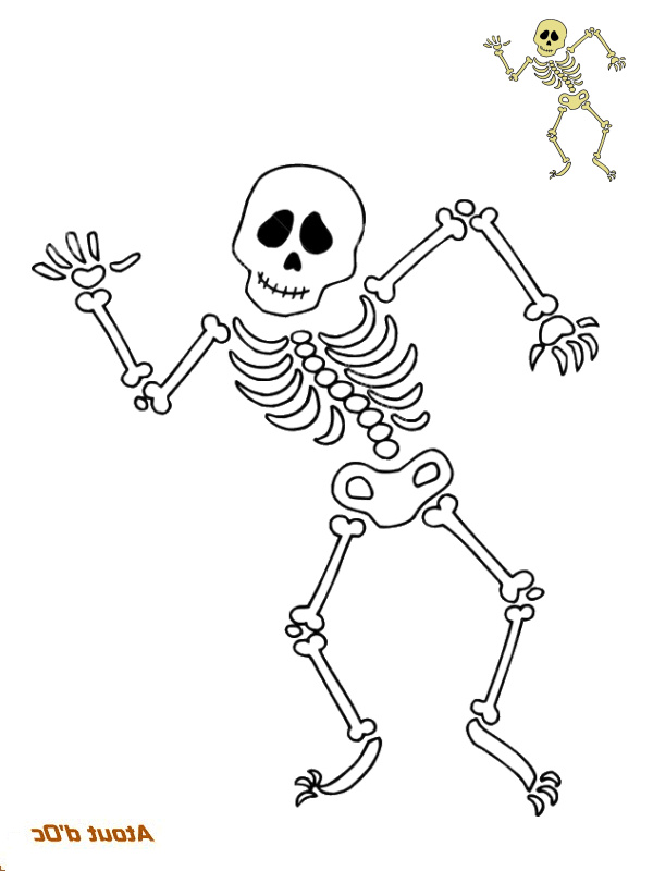 halloween squelette coloriage