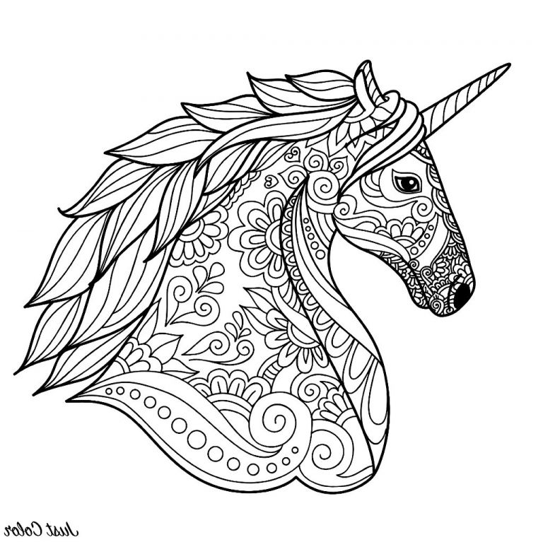 Coloriages Licornes Luxe Photos Tete De Licorne Simple Licornes Coloriages Difficiles