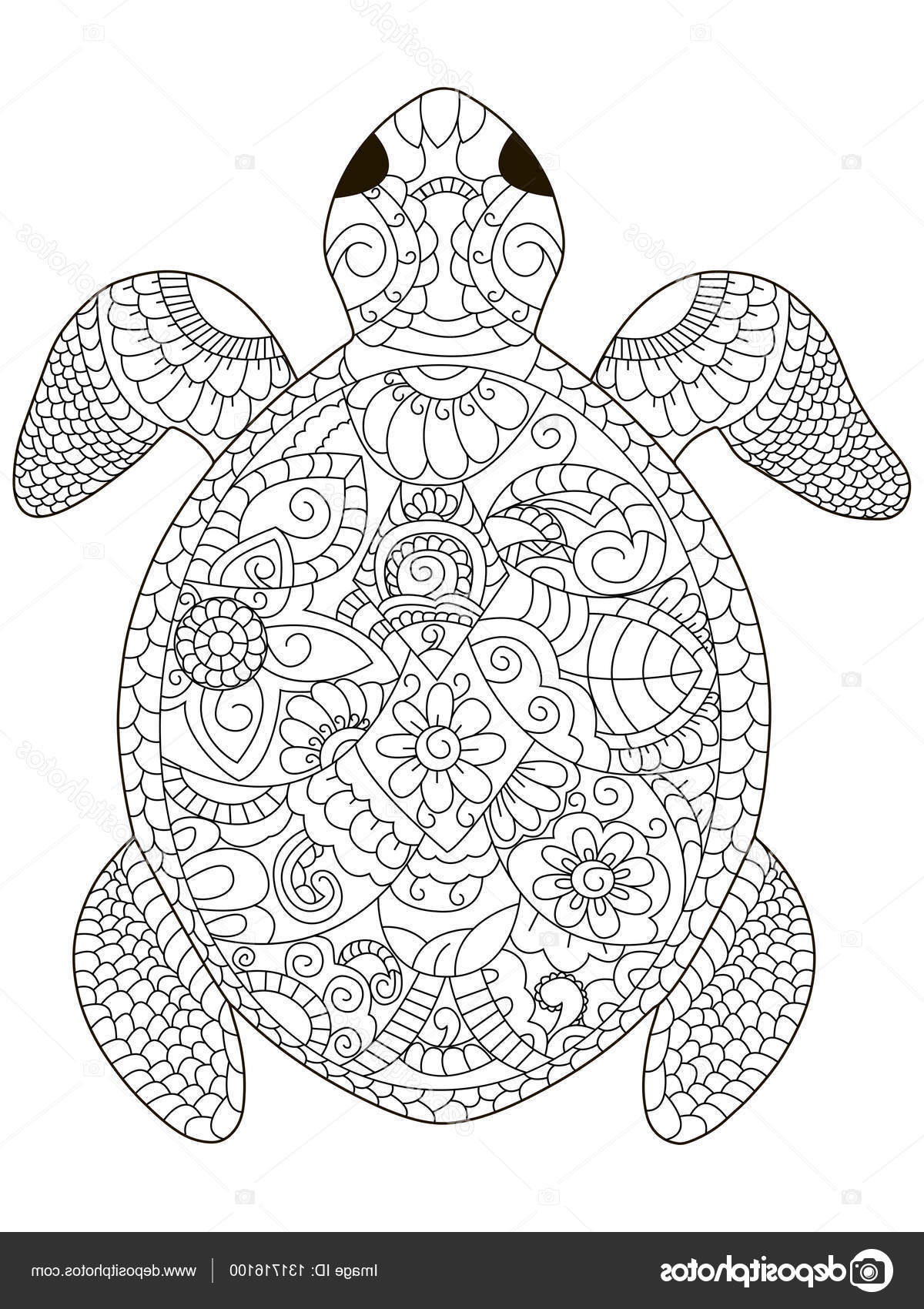 stock illustration sea turtle coloring vector for
