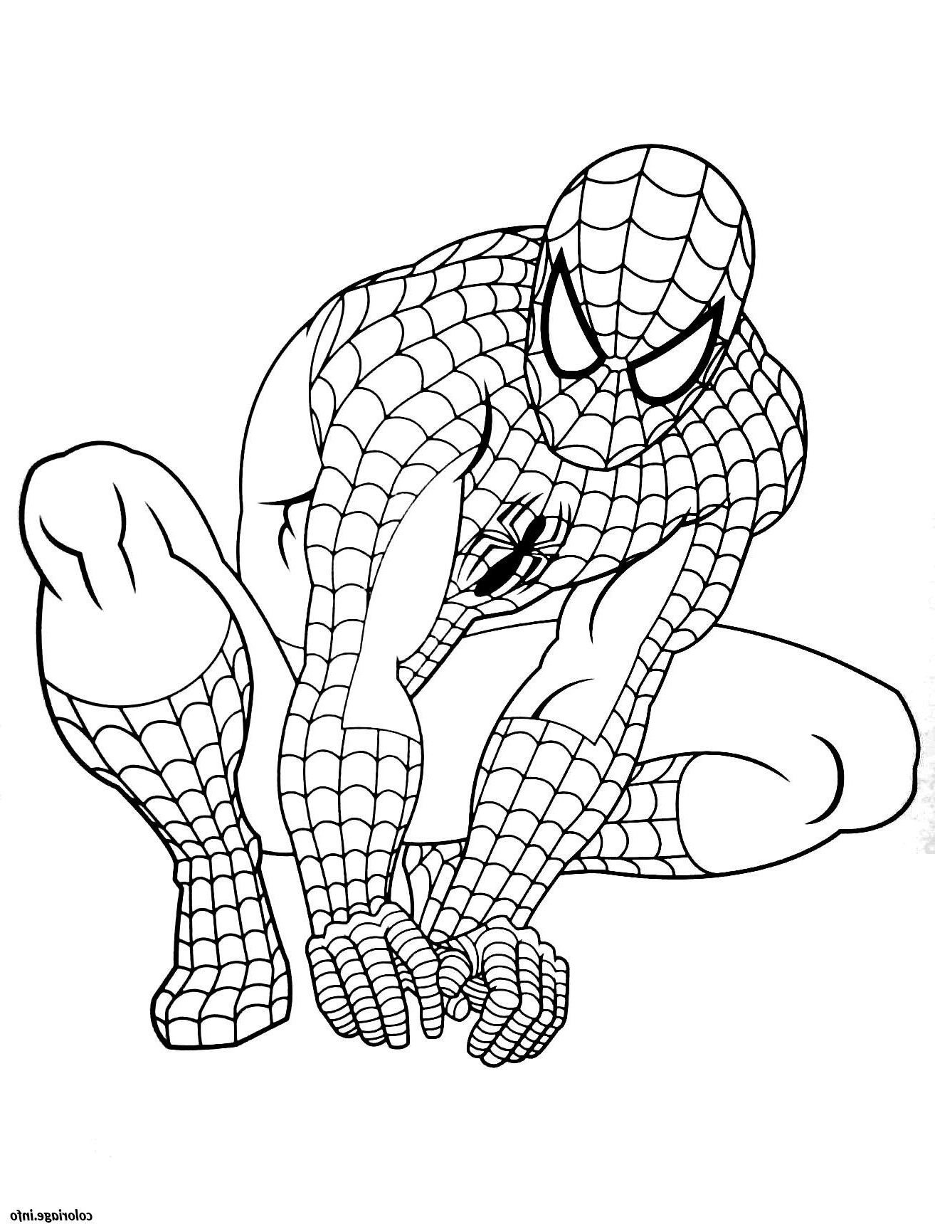 spiderman 9 coloriage dessin 2688