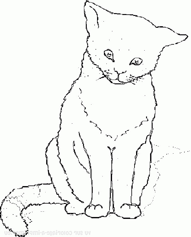 dessin de chat a colorier et a imprimer