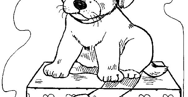 Dessin A Colorier Chat Impressionnant Photos Dessin Pet Shop