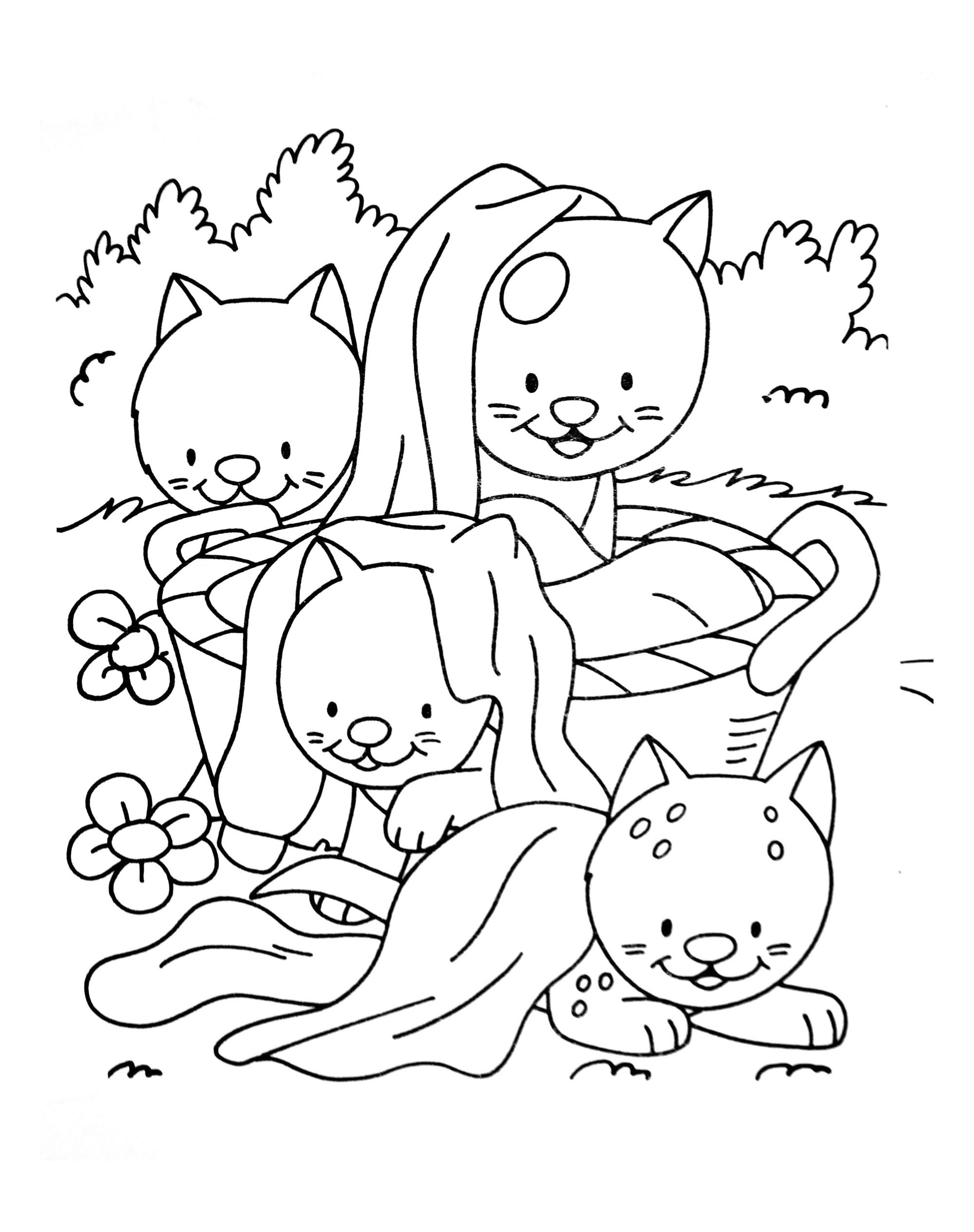 dessins de chatons