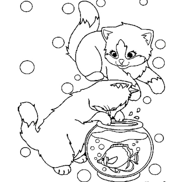 image de chats a colorier et imprimer