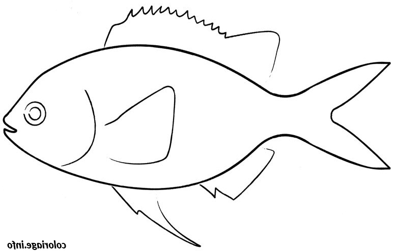poisson d avril a decouper coloriage dessin