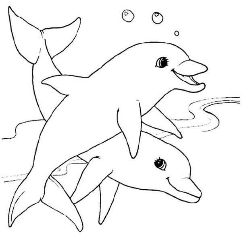coloriage d un couple de dauphins