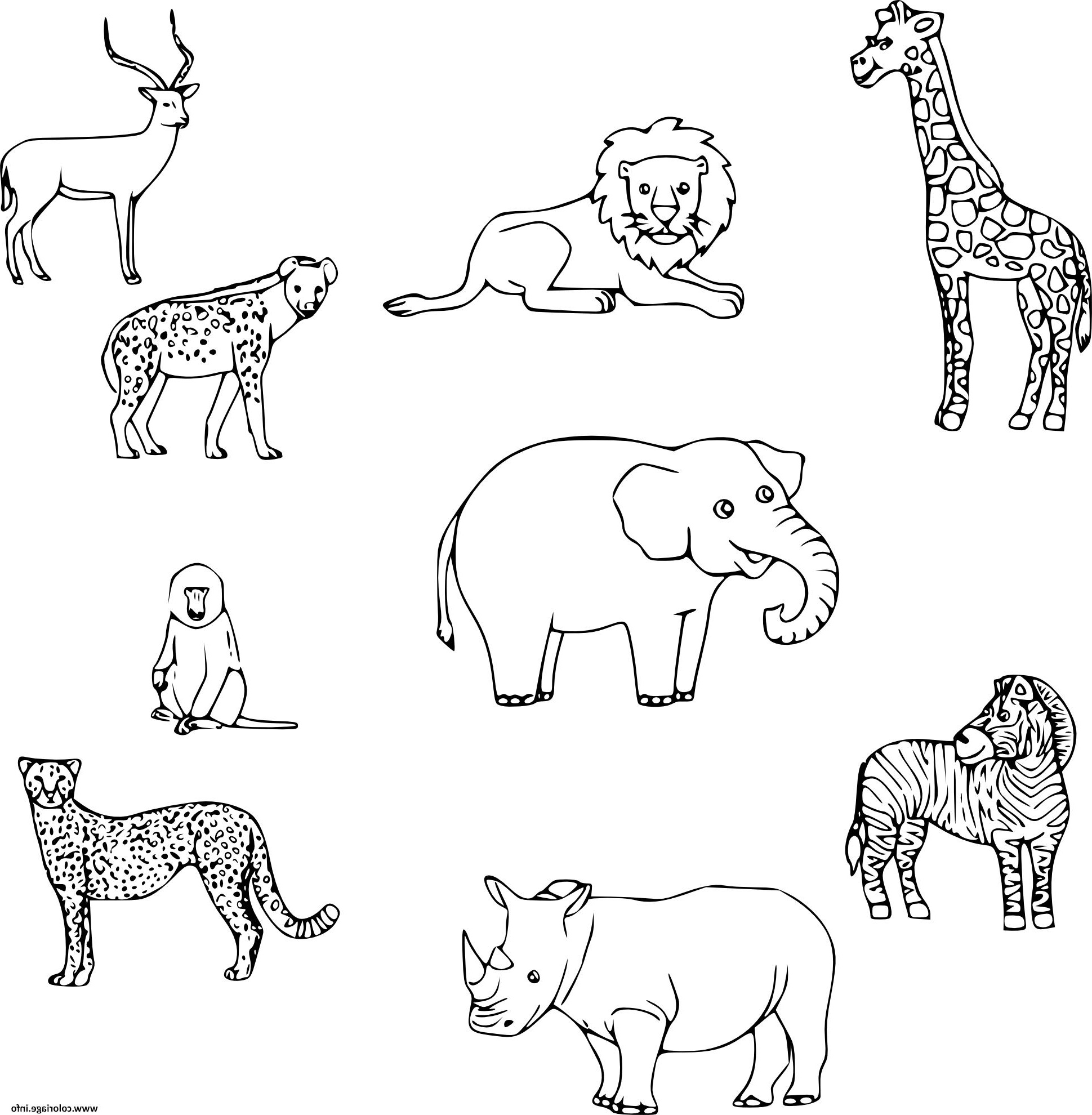 animaux savane coloriage dessin