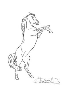 Dessin A Imprimer Cheval Beau Photos Coloriage Cheval Qui Se