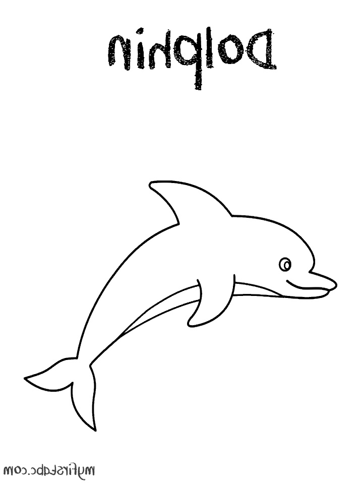 dessin de dauphin facile
