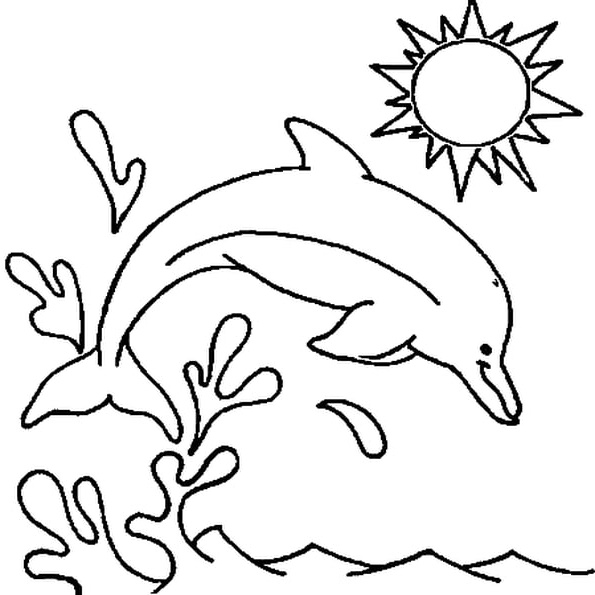 bebe dauphin coloriage
