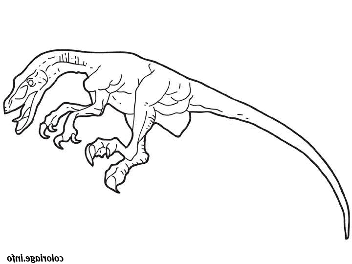 dessin dinosaure velociraptor coloriage 7861
