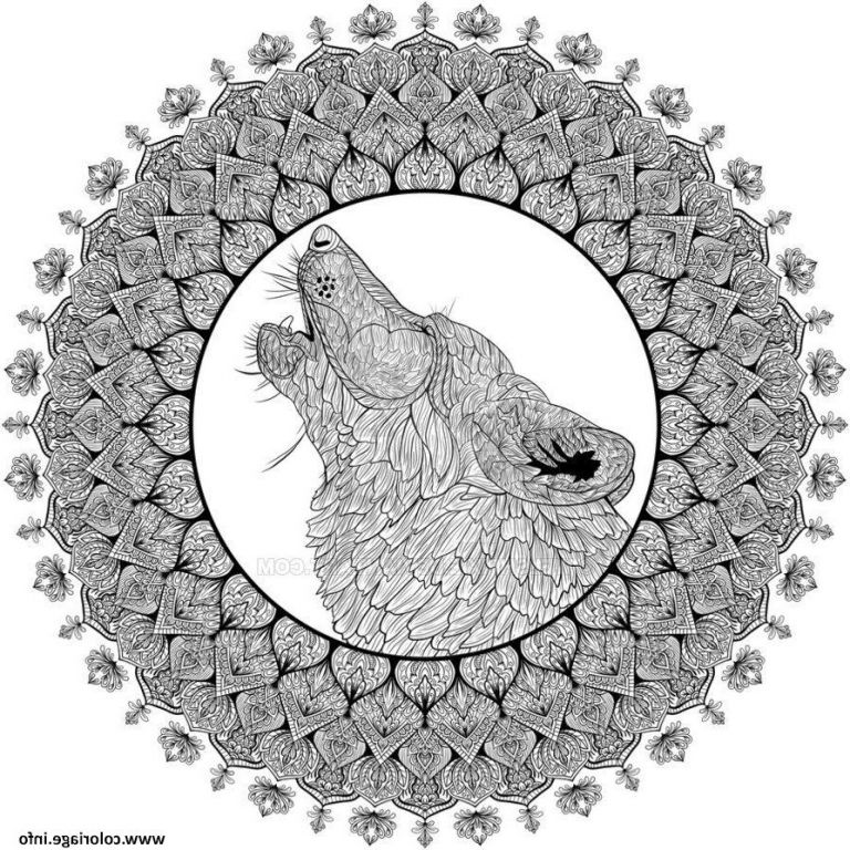 Dessin A Imprimer Mandala Difficile Impressionnant Photos Coloriage Mandala Loup Difficile Plexe Adulte Dessin