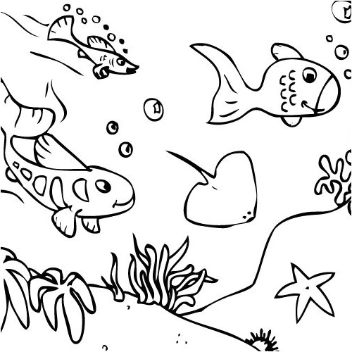 dessin a colorier animaux de la mer