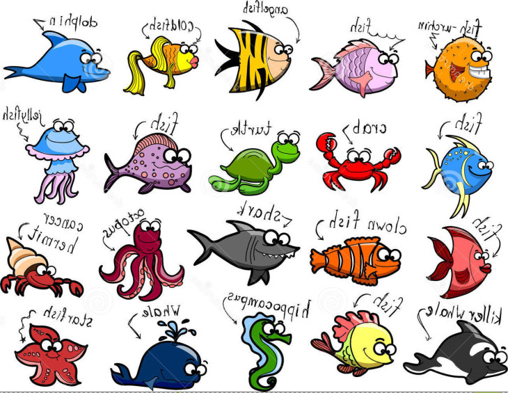 coloriage animaux marins
