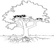 imprimer coloriage d arbre 15 sur t te modeler avec wpe 1 et dessin arbre a imprimer 78 imprimer coloriage d arbre 15 dessin arbre a imprimer