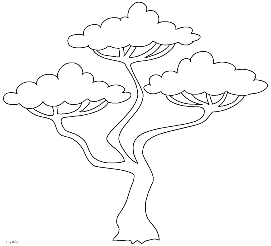 974 arbre de la savane africaine