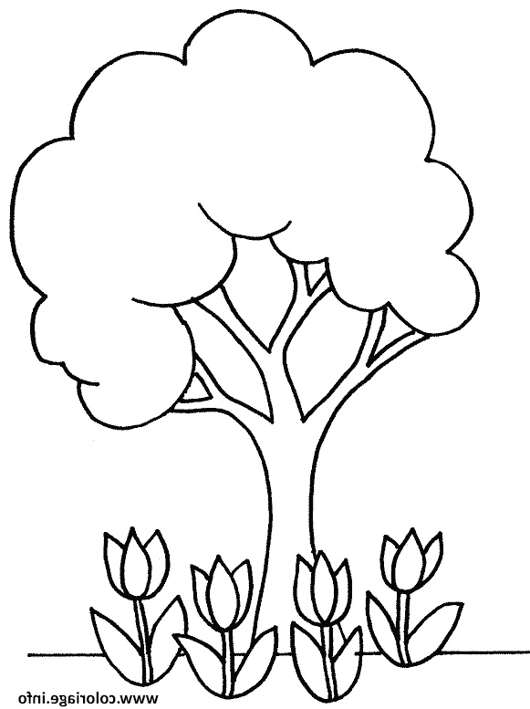 arbre printemps maternelle facile coloriage