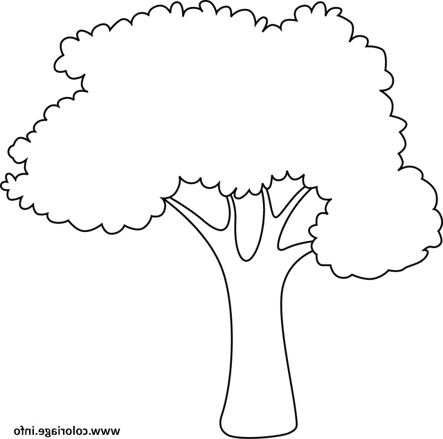 arbre simple facile nature coloriage