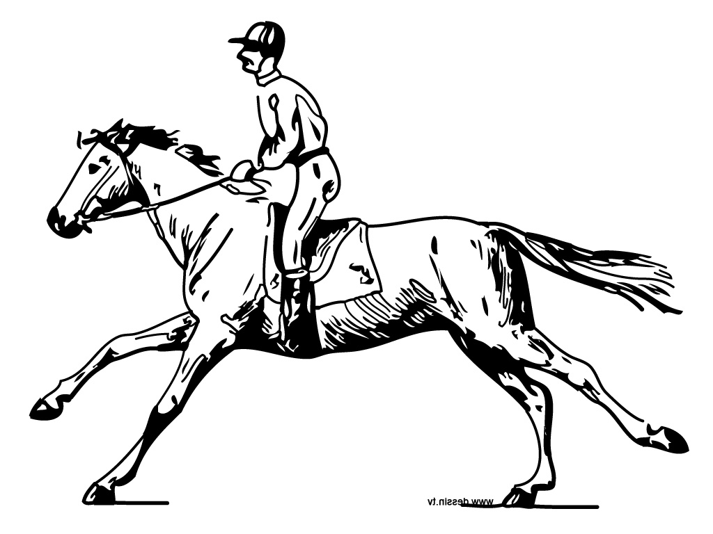 coloriage cheval avec cavalier