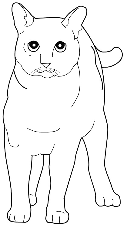 coloriage Chats 0