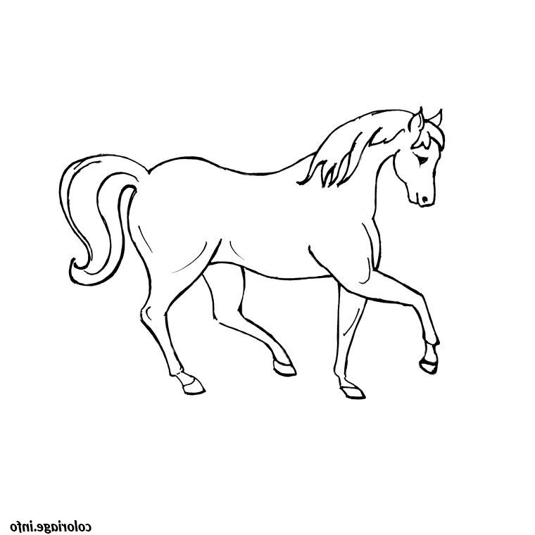 vrac cheval coloriage dessin 289
